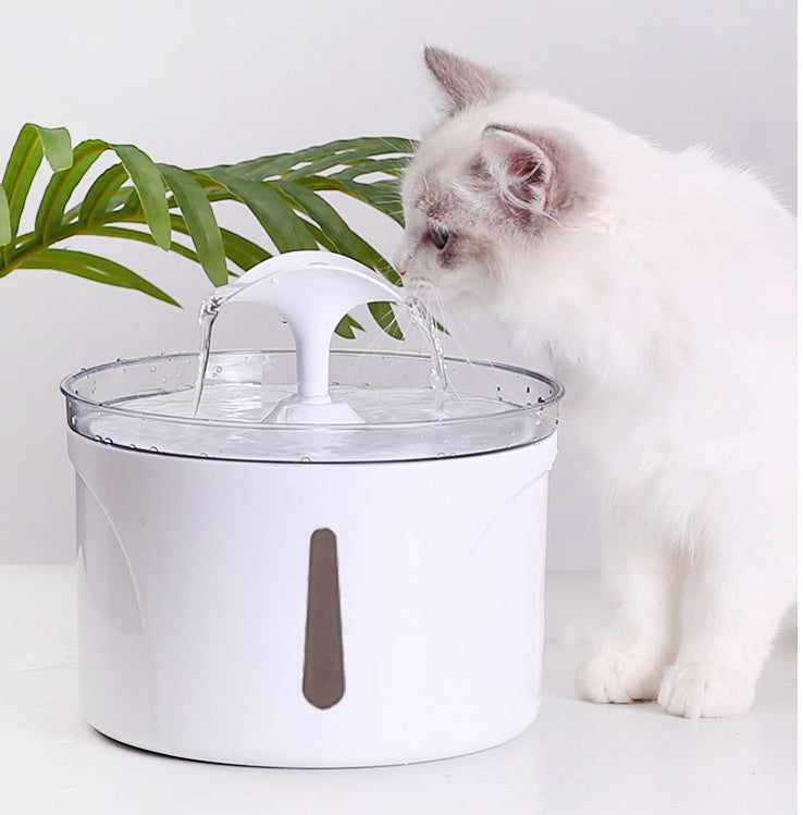 Automatic Circulating Filtered Water Dispenser